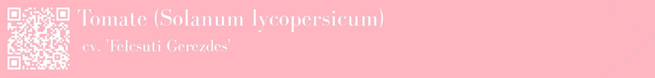 étiquette 2
