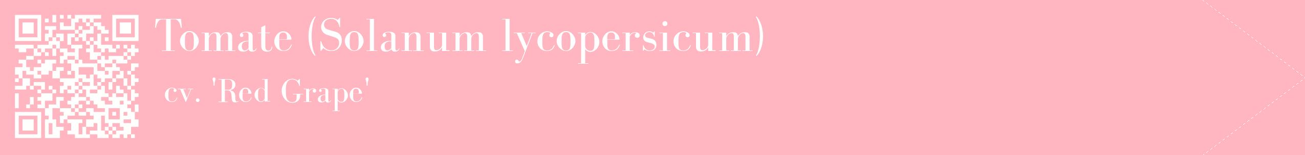 étiquette 2