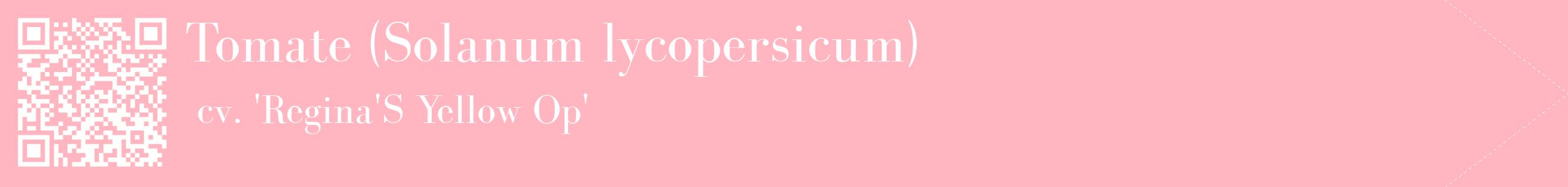 étiquette 2