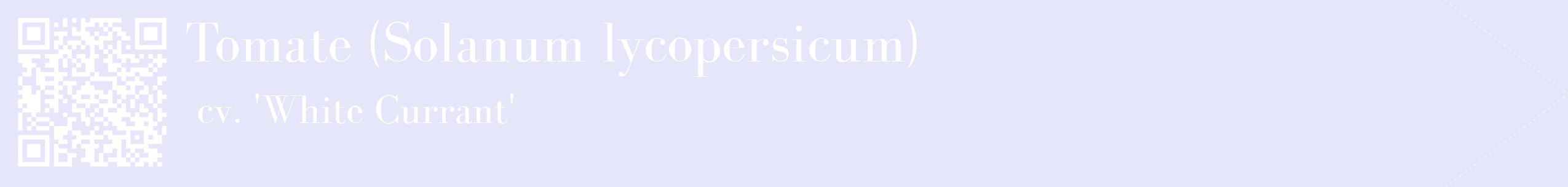 étiquette 2