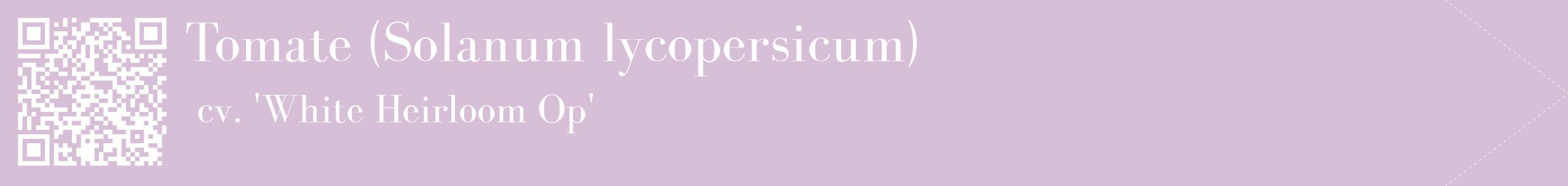 étiquette 2