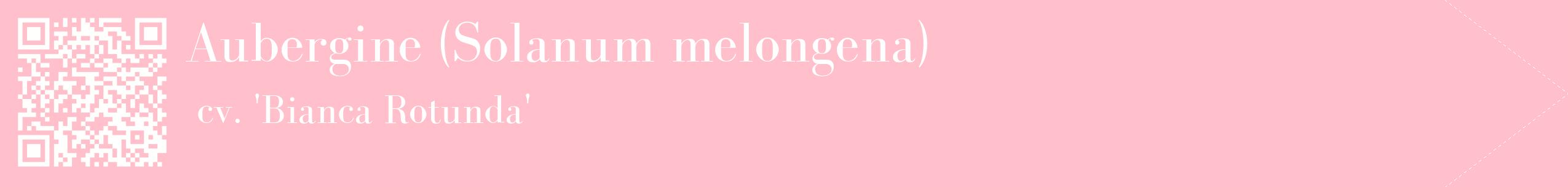 étiquette 2