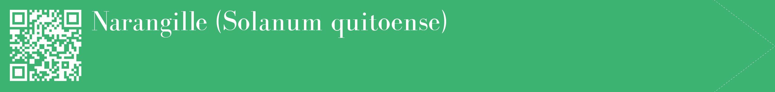étiquette 2