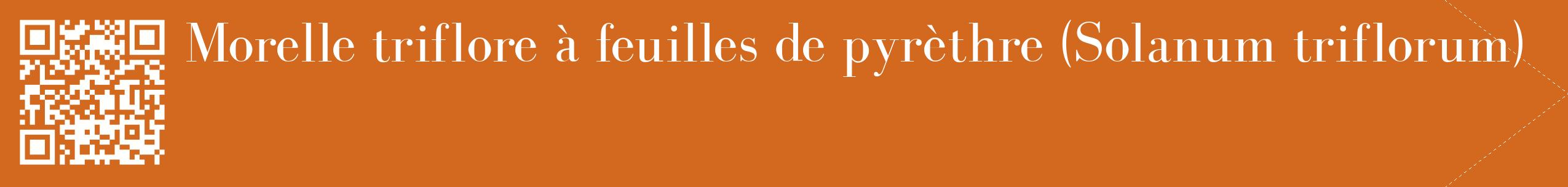 étiquette 2