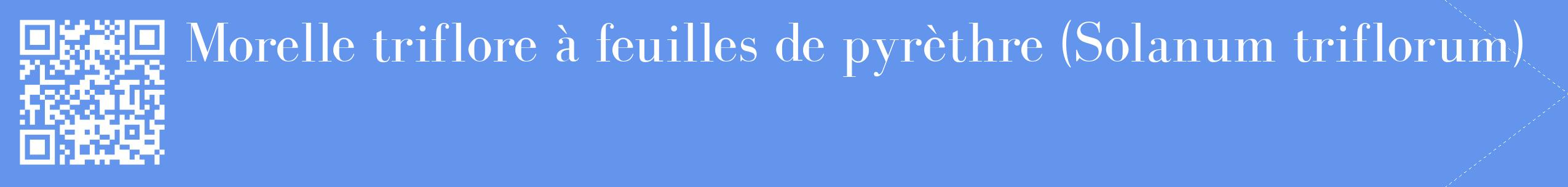 étiquette 2