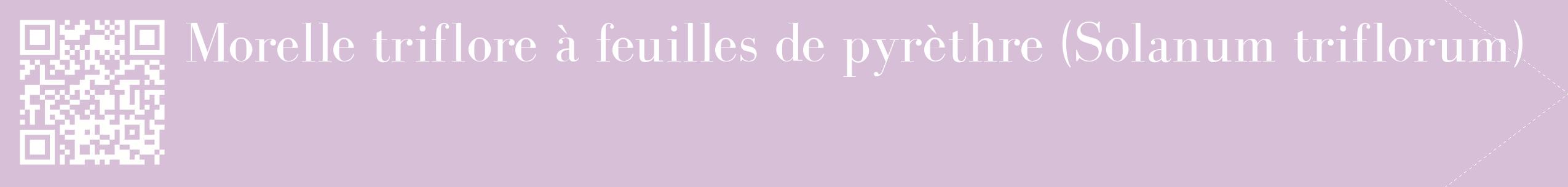 étiquette 2
