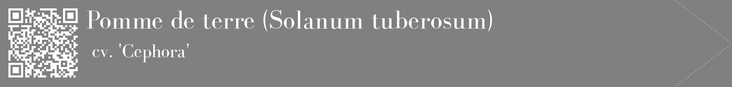 étiquette 2