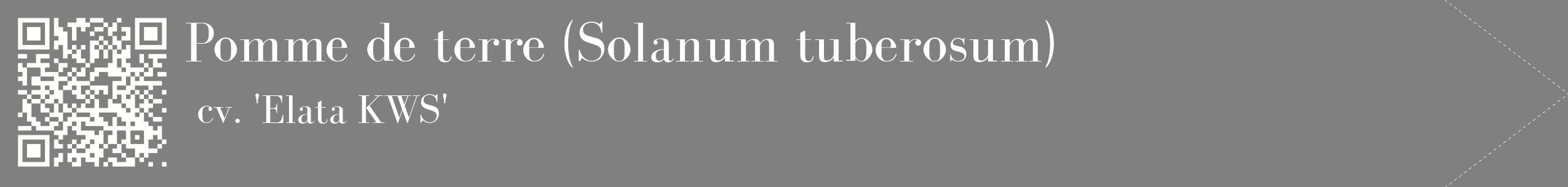 étiquette 2