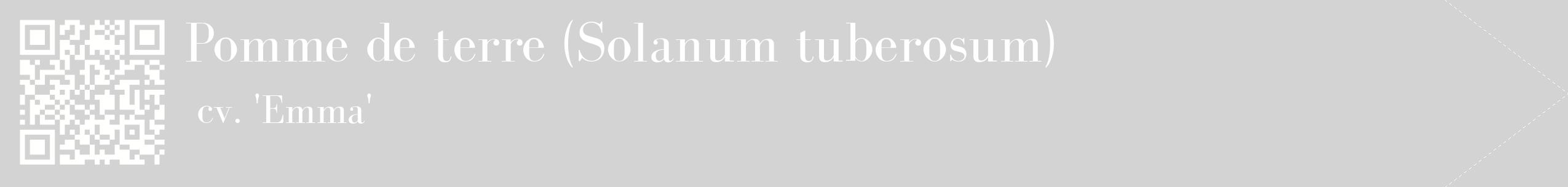 étiquette 2
