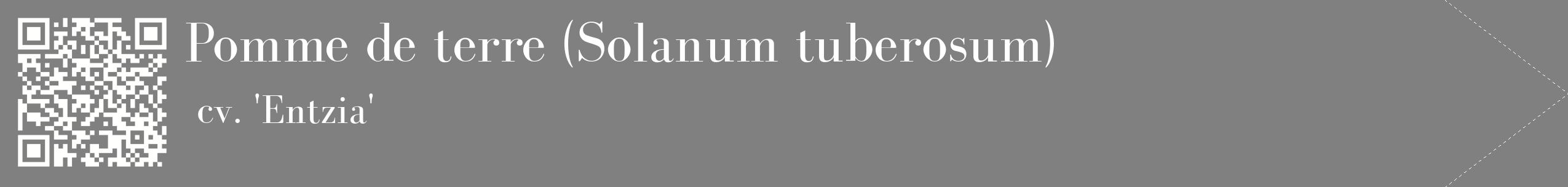 étiquette 2