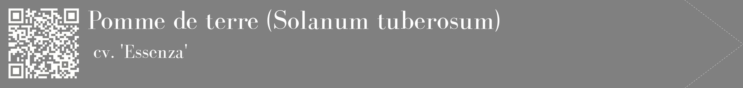 étiquette 2