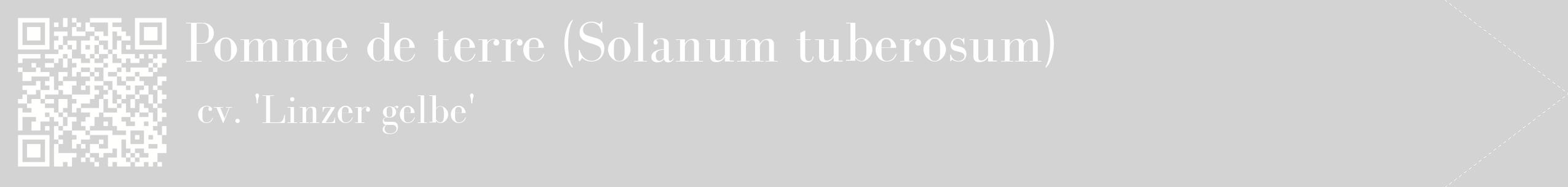 étiquette 2