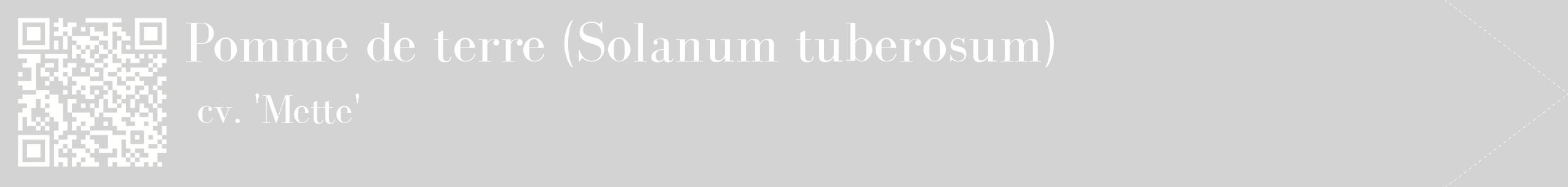 étiquette 2