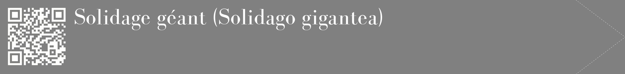 étiquette 2