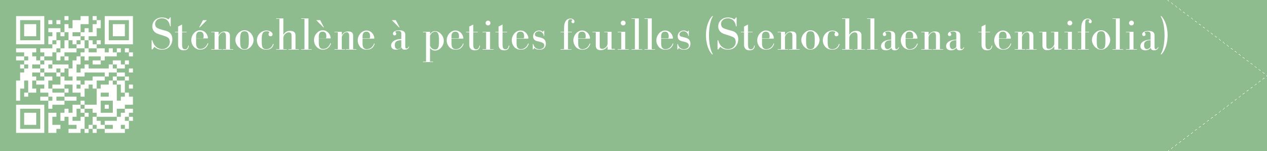 étiquette 2
