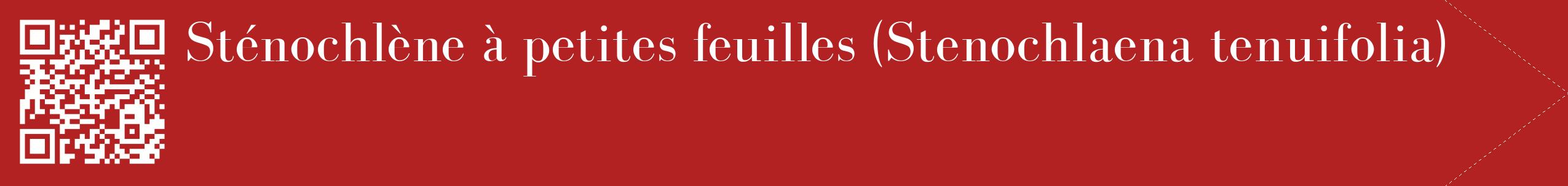 étiquette 2