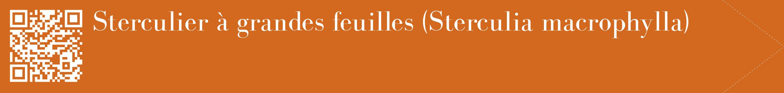 étiquette 2