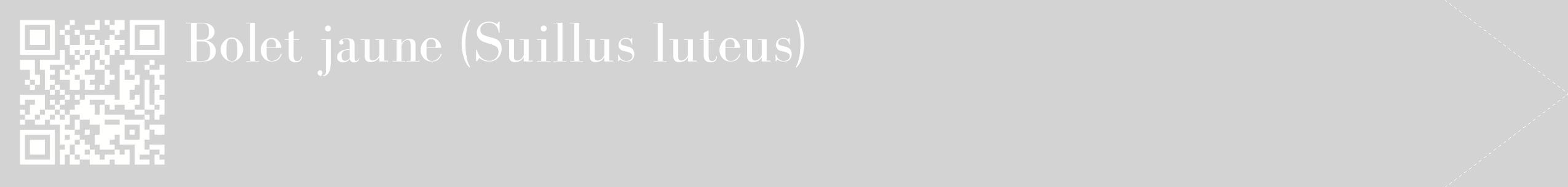 étiquette 2