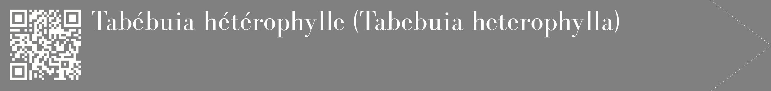 étiquette 2