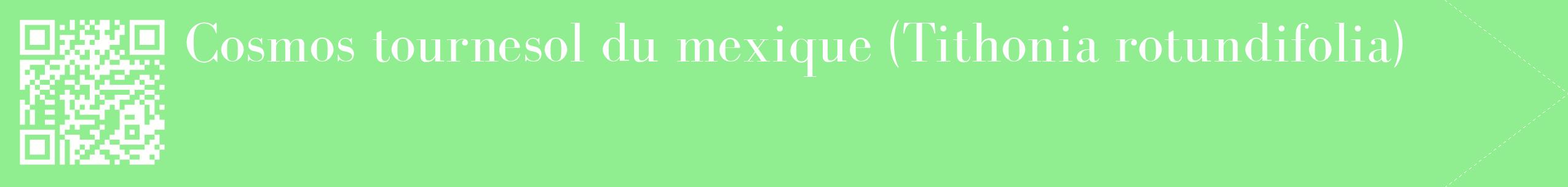 étiquette 2