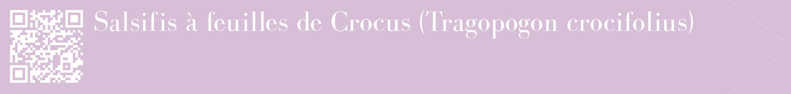 étiquette 2