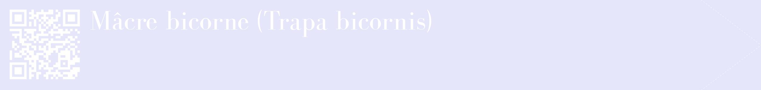 étiquette 2