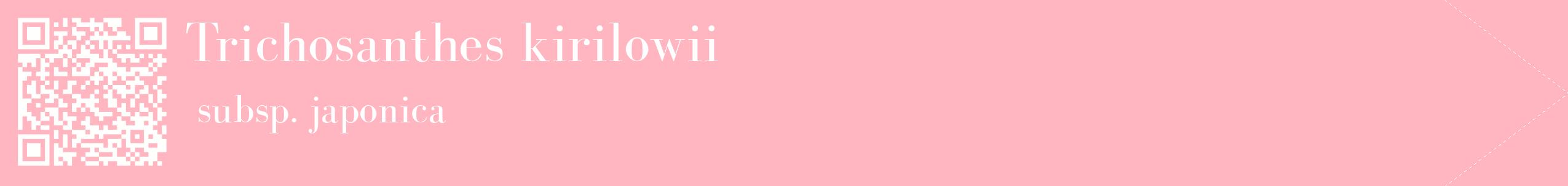 étiquette 2
