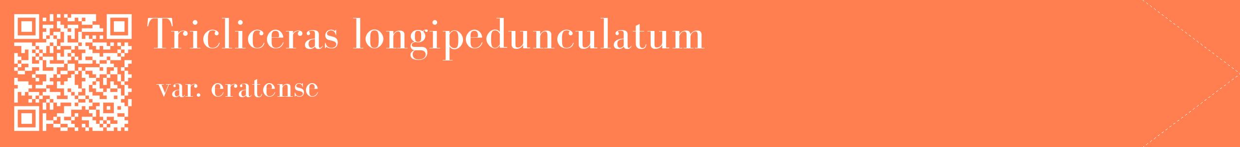 étiquette 2