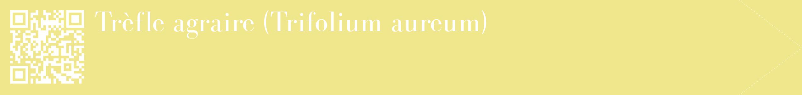 étiquette 2