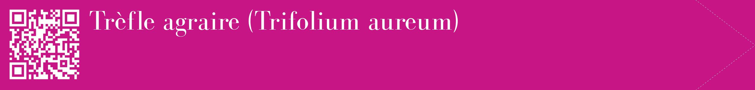 étiquette 2