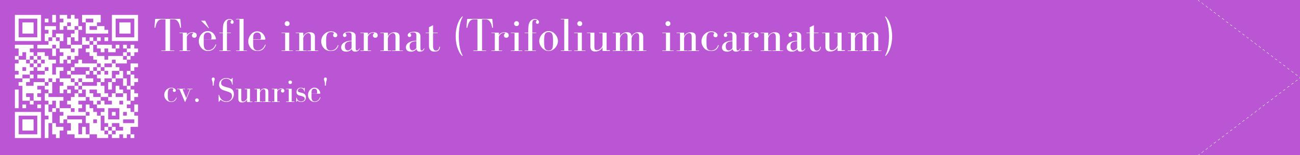 étiquette 2