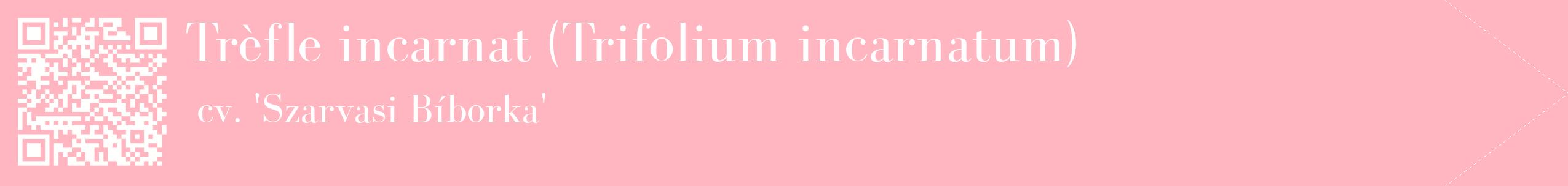 étiquette 2