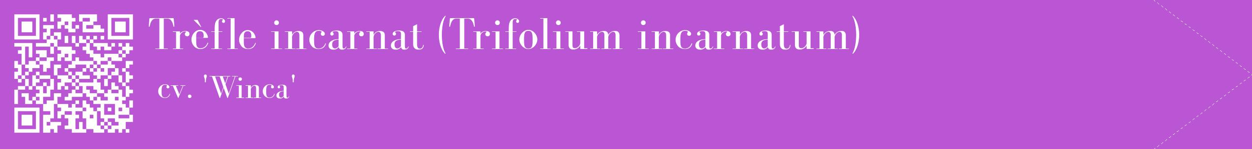 étiquette 2