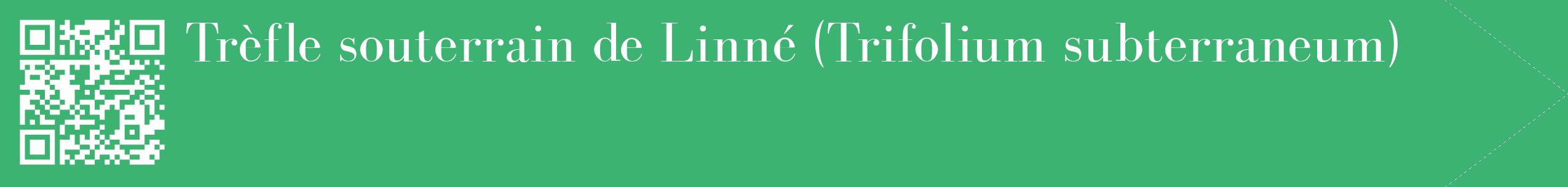 étiquette 2