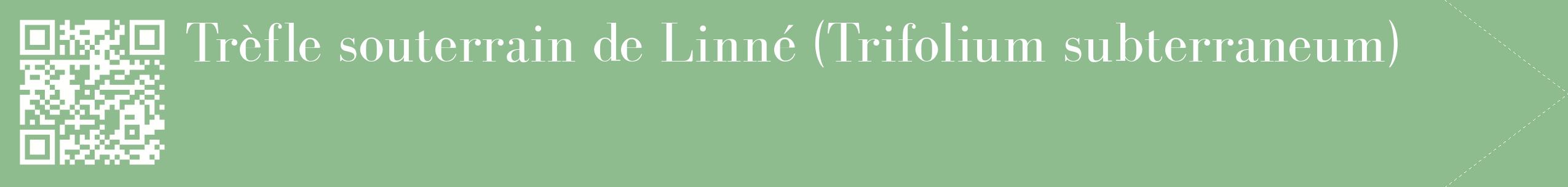 étiquette 2