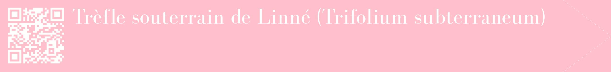 étiquette 2