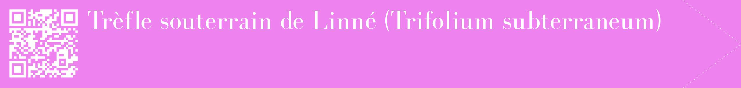 étiquette 2