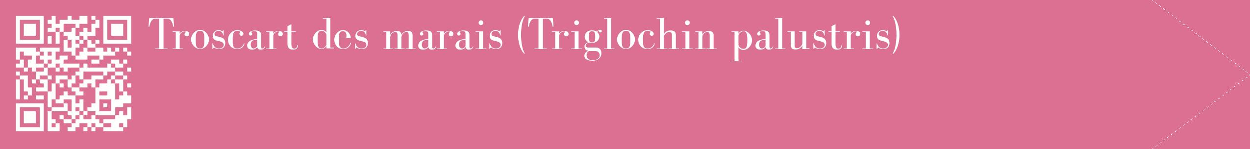 étiquette 2