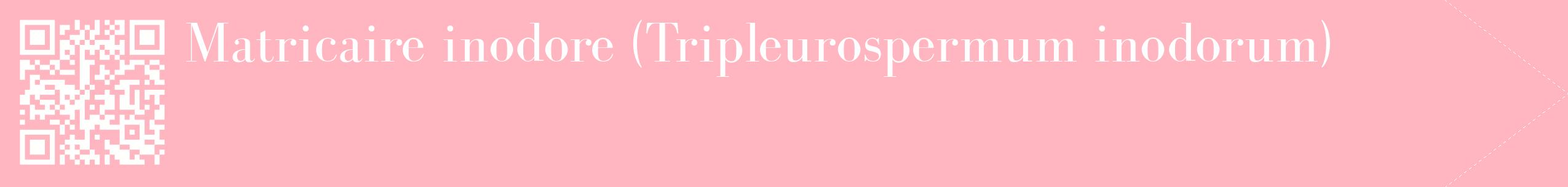 étiquette 2