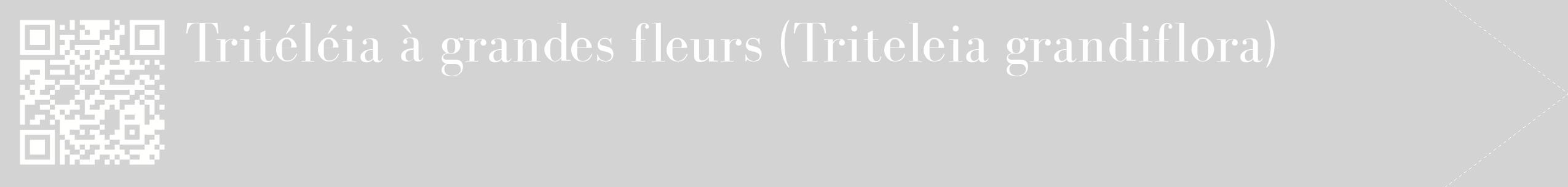 étiquette 2