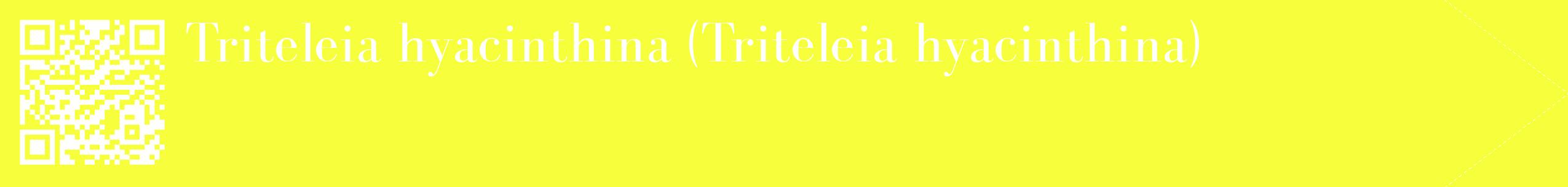 étiquette 2
