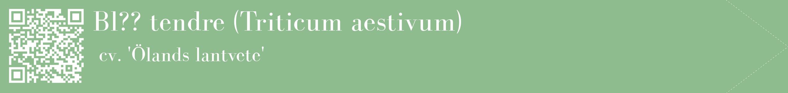 étiquette 2