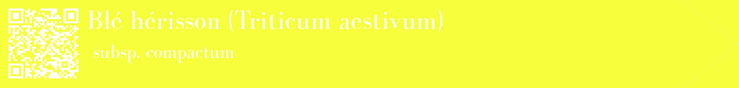 étiquette 2