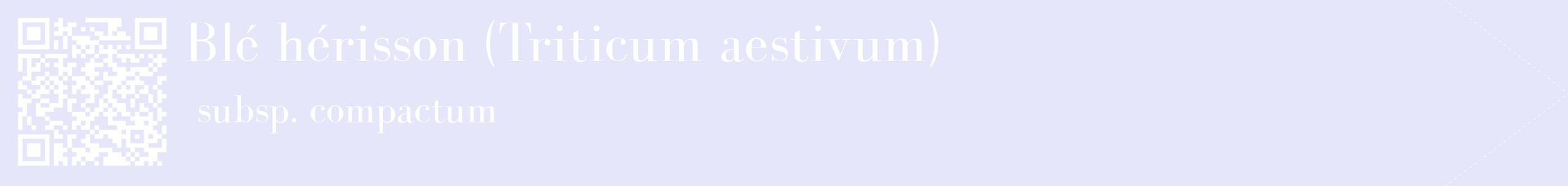étiquette 2