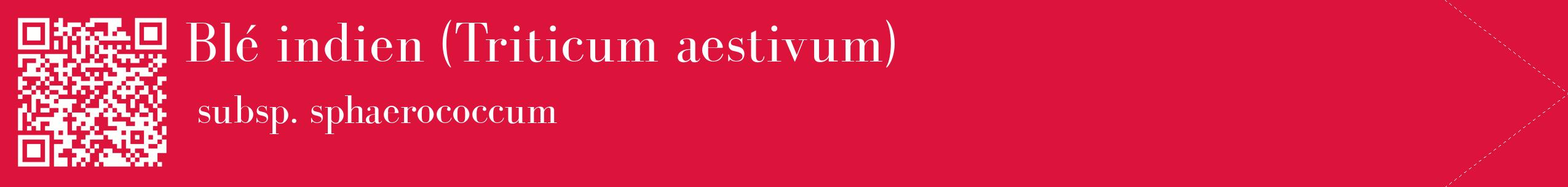 étiquette 2