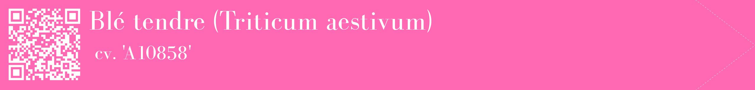 étiquette 2