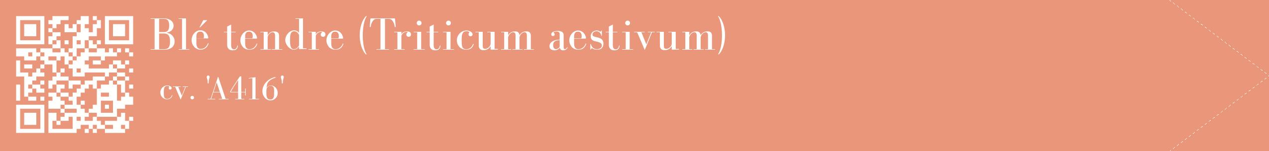 étiquette 2