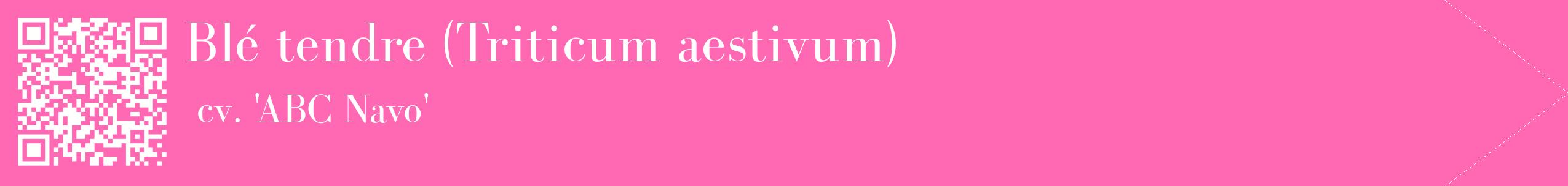 étiquette 2