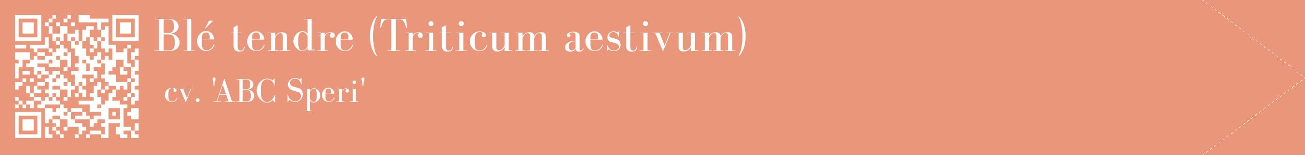 étiquette 2