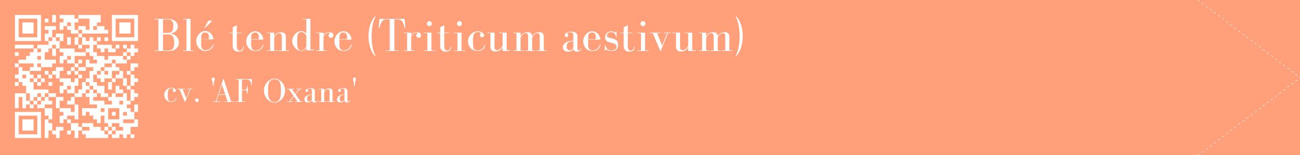 étiquette 2